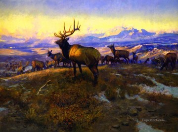 Cerf œuvres - le souverain exalté 1912 Charles Marion Russell cerf